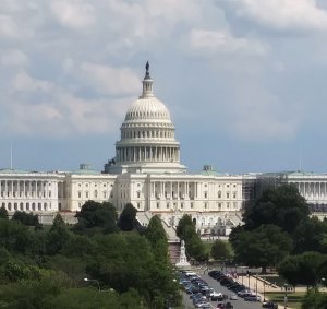 U.S. Capitol dome. Photo by C. G. Wagner